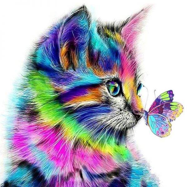Pictura pe numere 40 x 50 cm pisica cu fluture